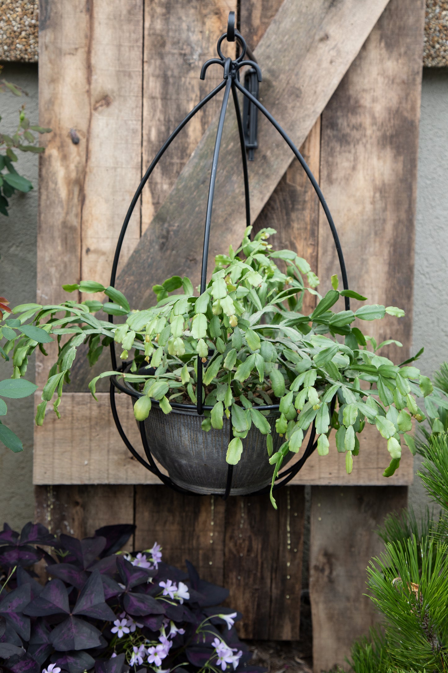 Wrought Iron Hanging Basket - Plant Hanger - Amish made - 24"x12"