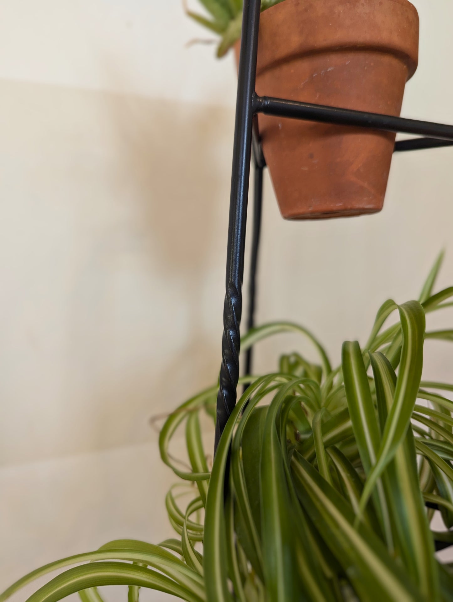 Three-Tier Wrought Iron Black Plant Stand – Plant Holder for Indoor Plants & Flower Display | Rustic Home Decor | Amish Made in the USA