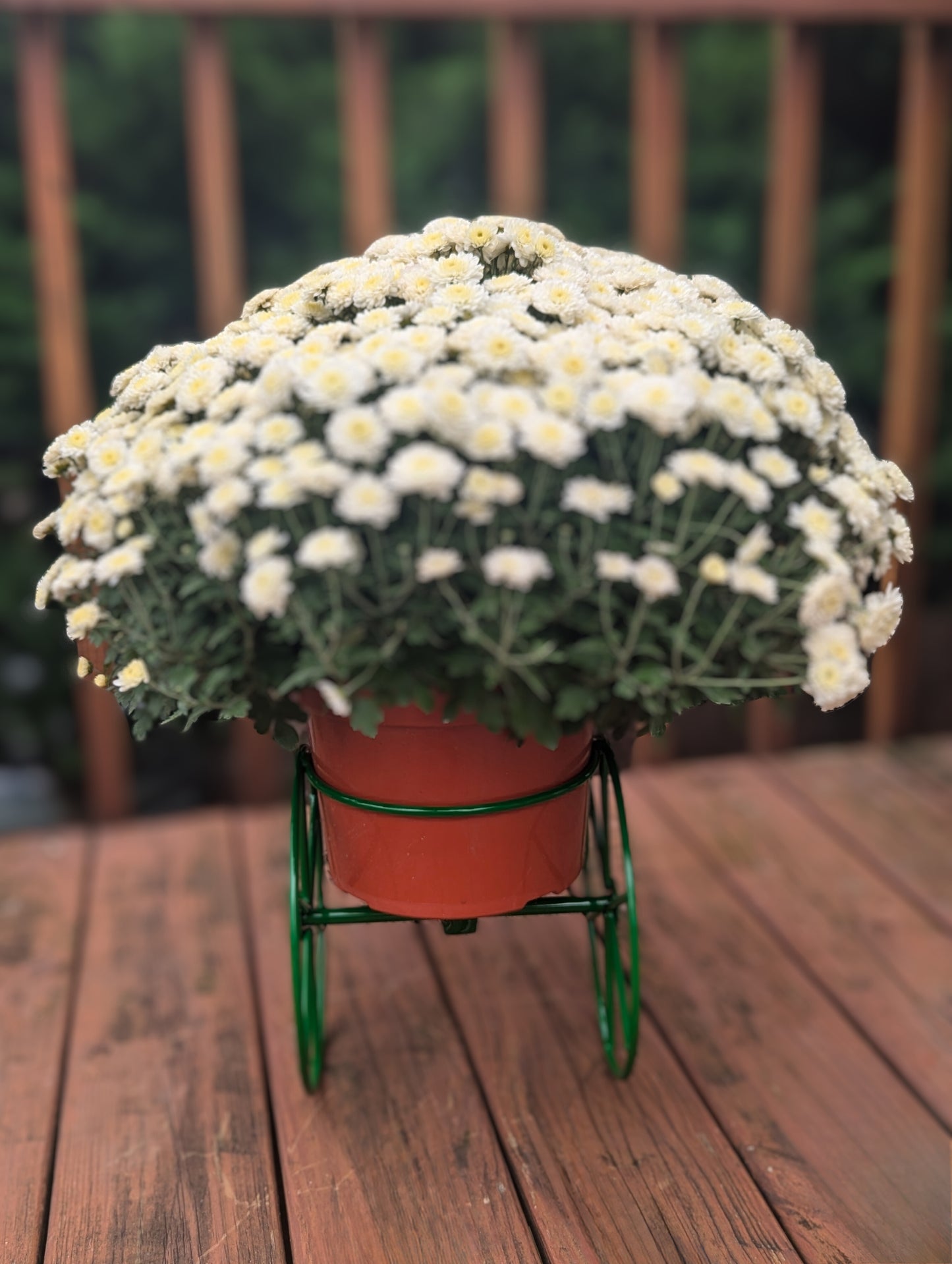 Tractor Flower planter - John Deere Green, CNH Case International Red, New Holland Blue - Powder Coated - amish made