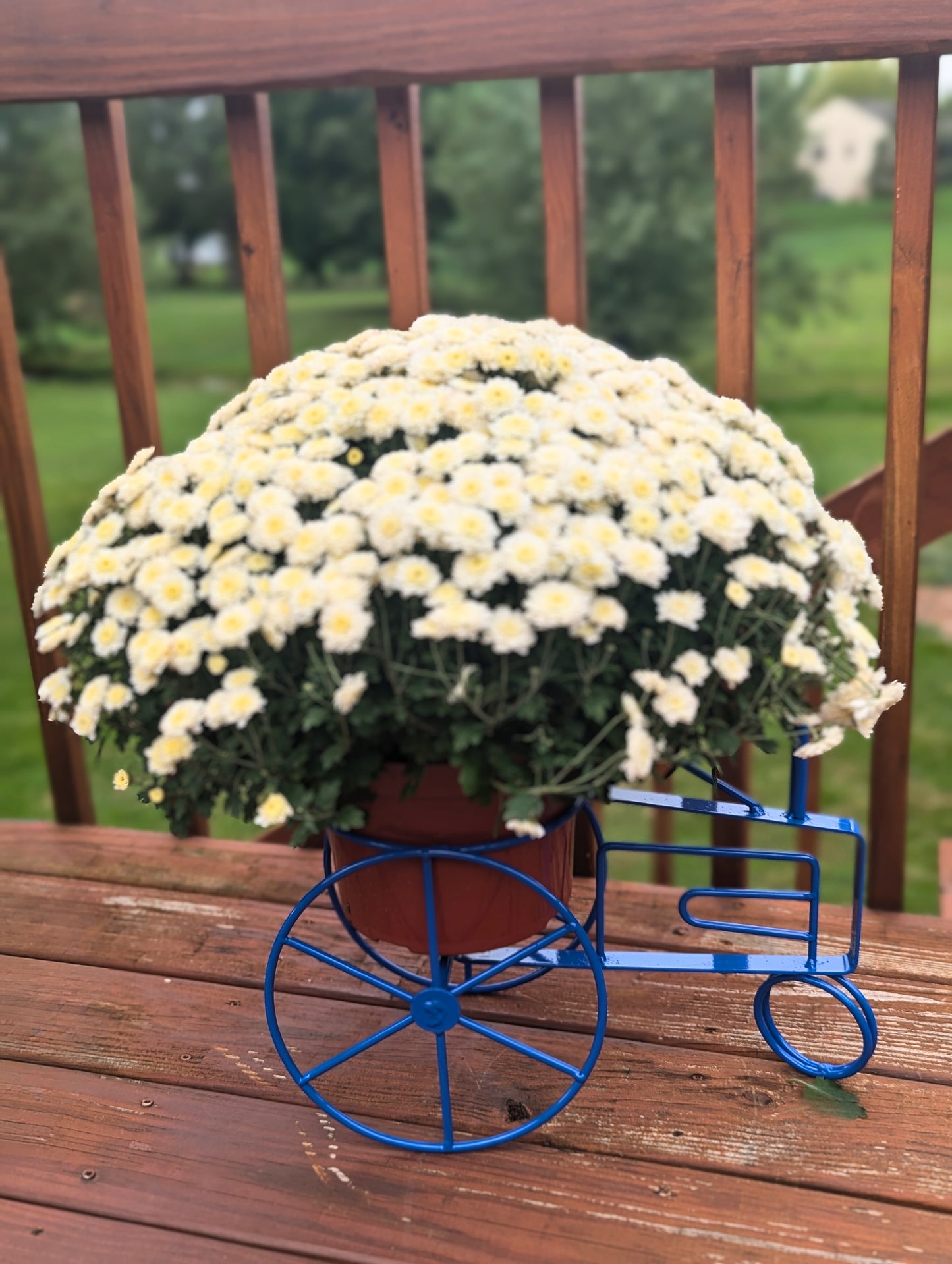 Tractor Flower planter - John Deere Green, CNH Case International Red, New Holland Blue - Powder Coated - amish made