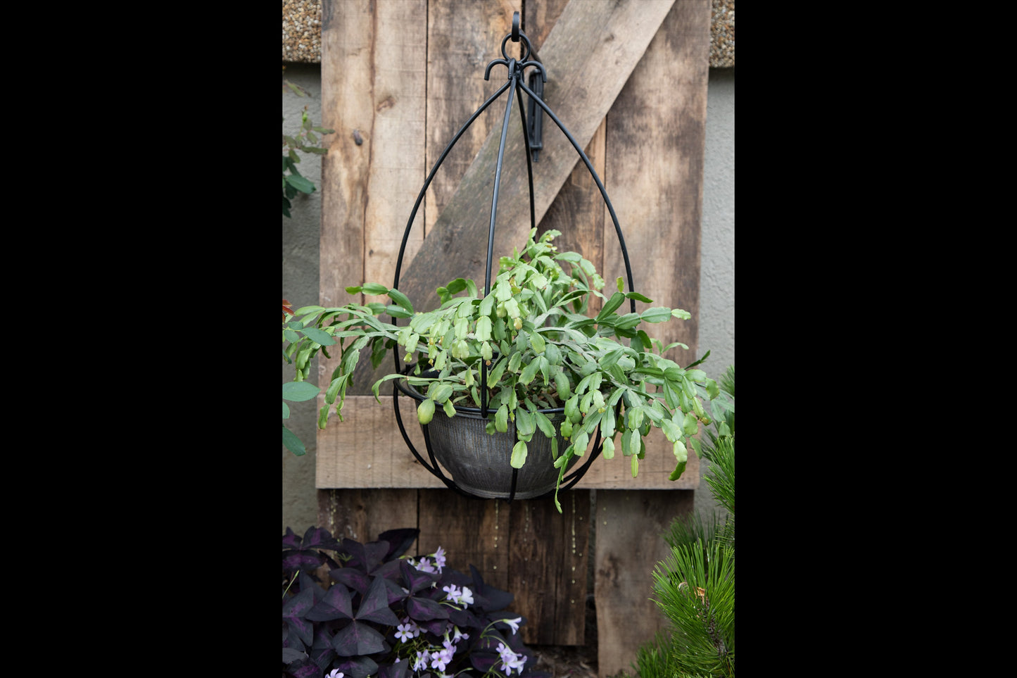 Wrought Iron Hanging Basket - Plant Hanger - Amish made - 24"x12"