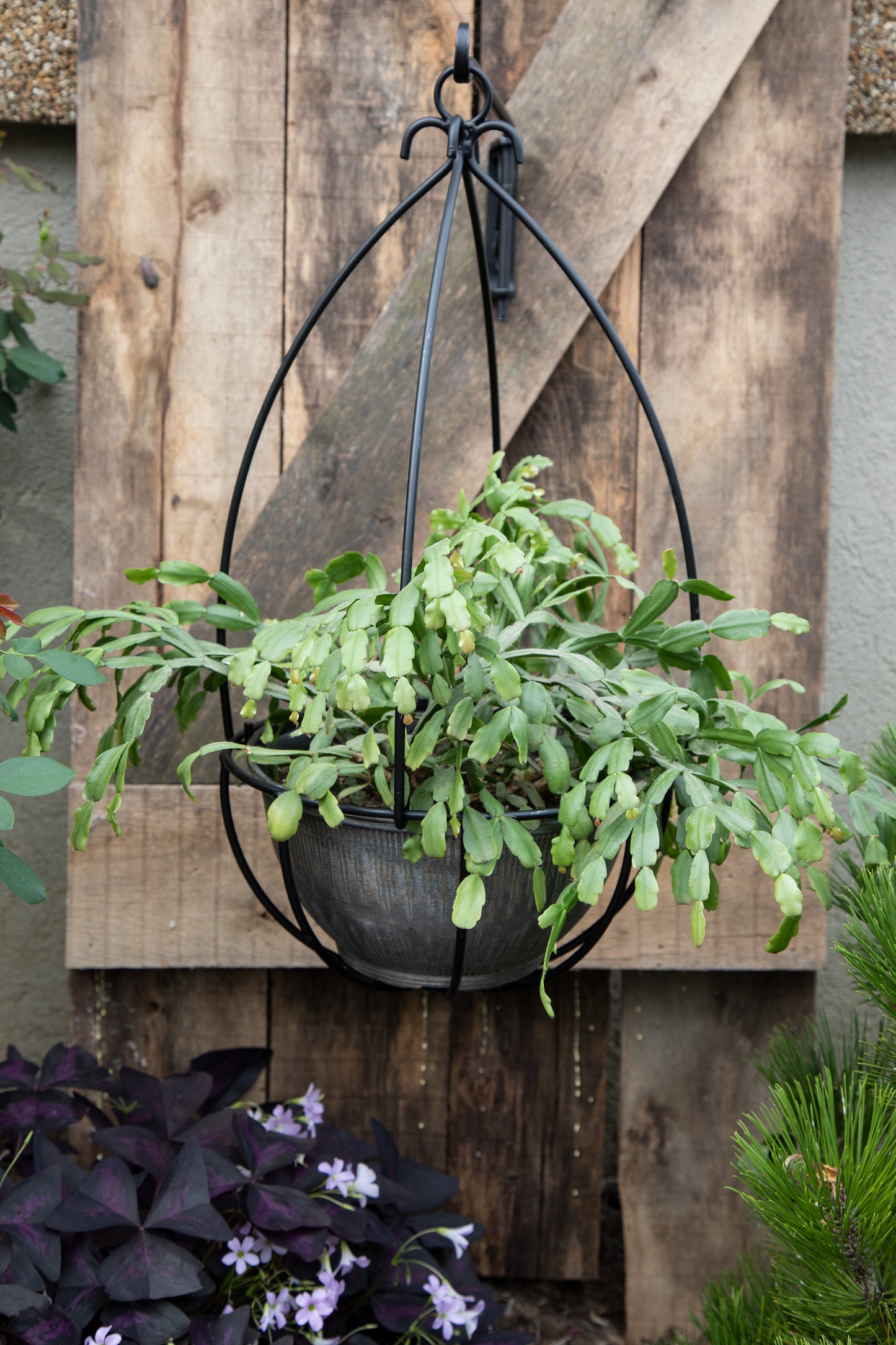 Wrought Iron Hanging Basket -  Plant Hanger - Amish made - 24"x12"