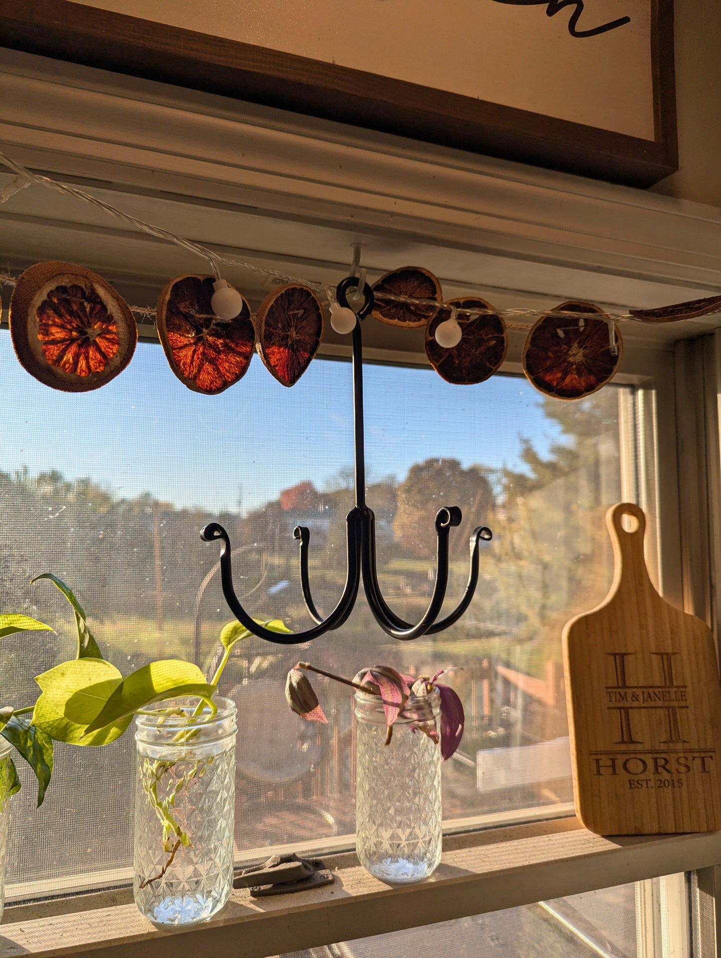 Amish-Made Wrought Iron Herb Dryer: Hanging Herbs for Homesteading, Farmhouse Decor & Sustainable Kitchen Organization