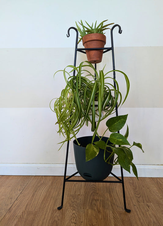 Three-Tier Wrought Iron Black Plant Stand – Plant Holder for Indoor Plants & Flower Display | Rustic Home Decor | Amish Made in the USA