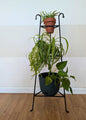 Three-Tier Wrought Iron Black Plant Stand – Plant Holder for Indoor Plants & Flower Display | Rustic Home Decor | Amish Made in the USA