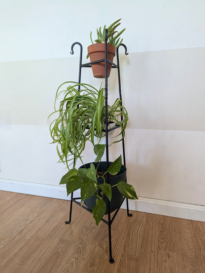 Three-Tier Wrought Iron Black Plant Stand – Plant Holder for Indoor Plants & Flower Display | Rustic Home Decor | Amish Made in the USA