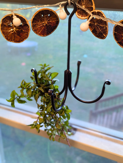 Amish-Made Wrought Iron Herb Dryer: Hanging Herbs for Homesteading, Farmhouse Decor & Sustainable Kitchen Organization