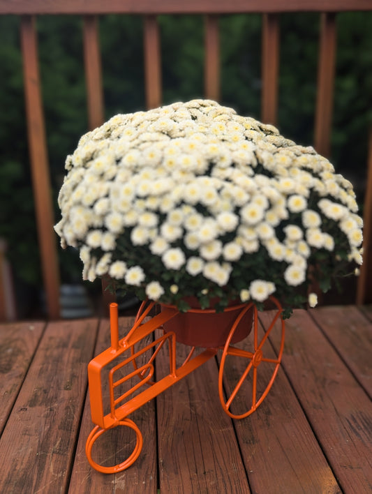 Tractor Flower planter - John Deere Green, CNH Case International Red, New Holland Blue - Powder Coated - amish made