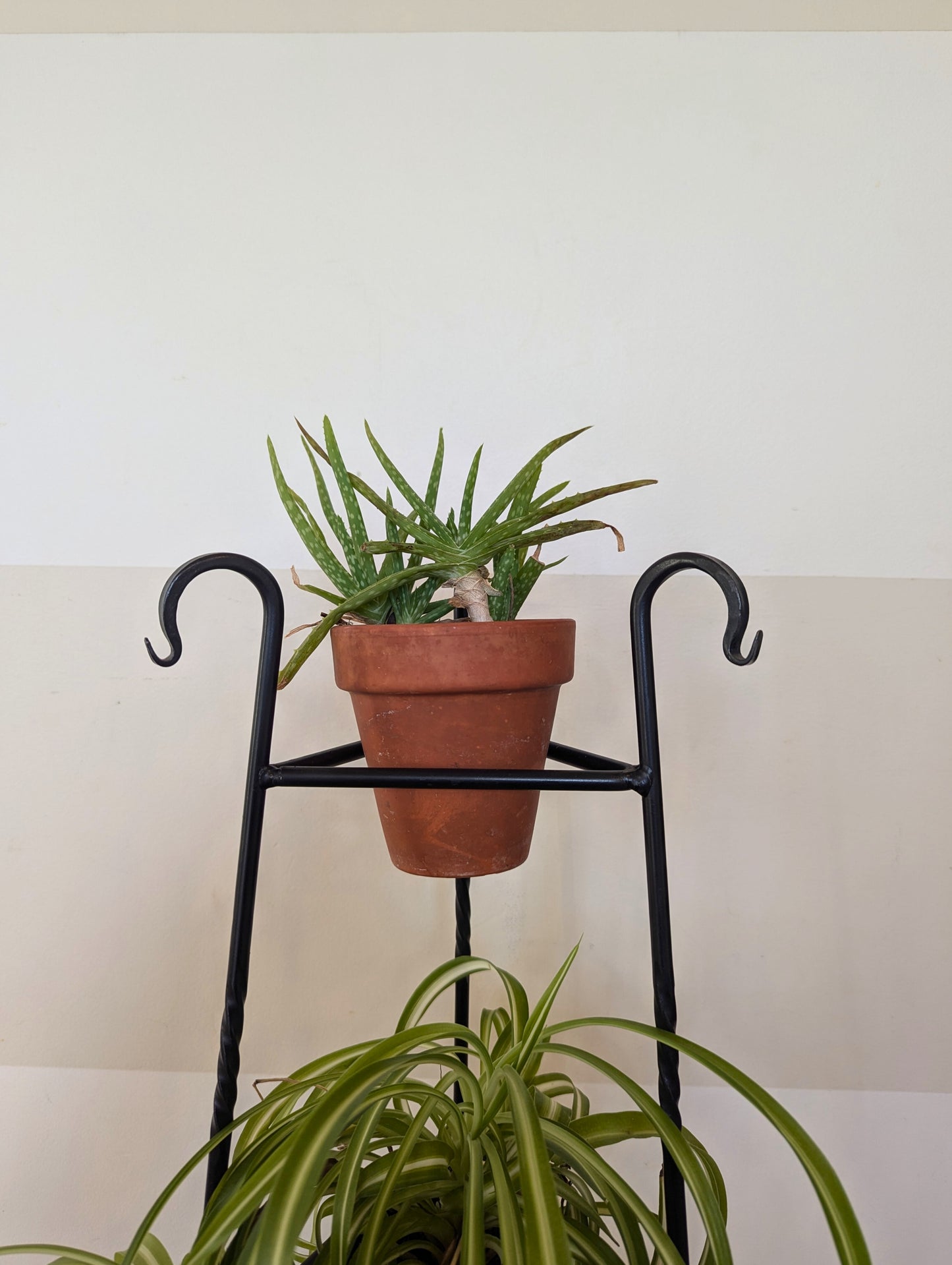 Three-Tier Wrought Iron Black Plant Stand – Plant Holder for Indoor Plants & Flower Display | Rustic Home Decor | Amish Made in the USA