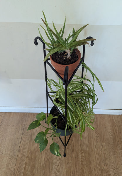 Three-Tier Wrought Iron Black Plant Stand – Plant Holder for Indoor Plants & Flower Display | Rustic Home Decor | Amish Made in the USA