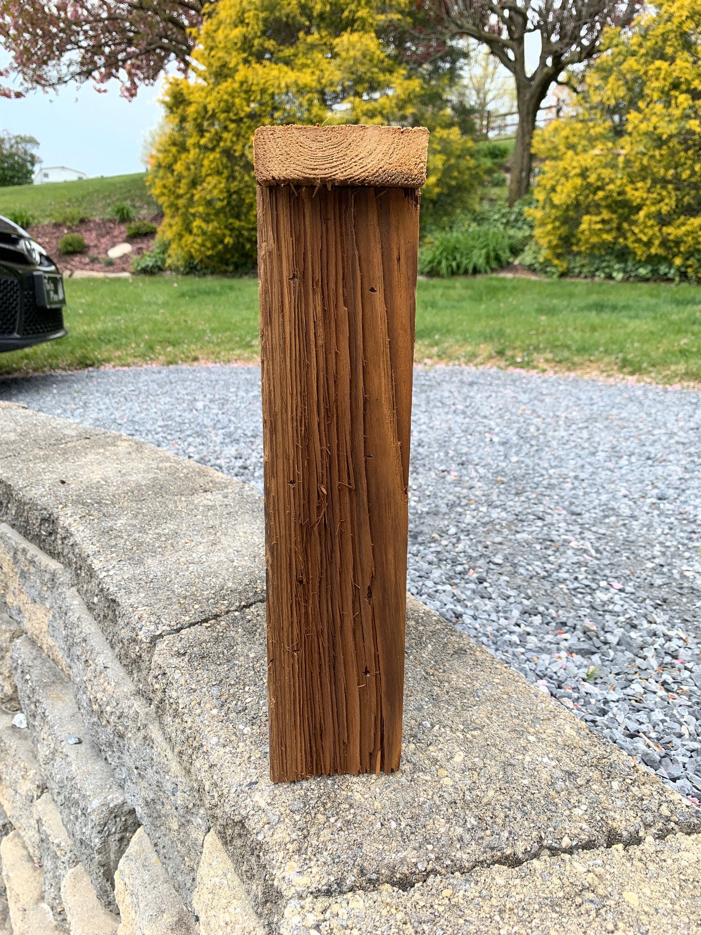 Rustic Handmade Bat House Weather Resistant