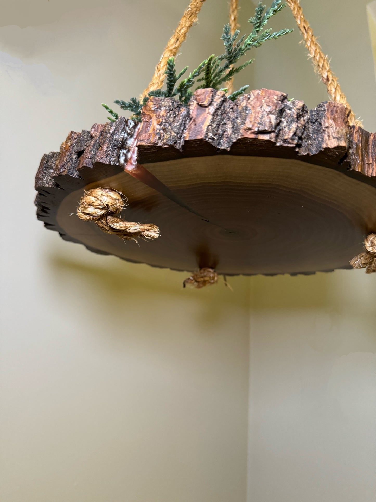 Wooden Hanging Display 12", Black Walnut Wood- Amish Made