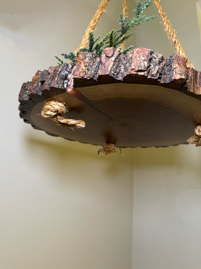 Wooden Hanging Display 12", Black Walnut Wood- Amish Made