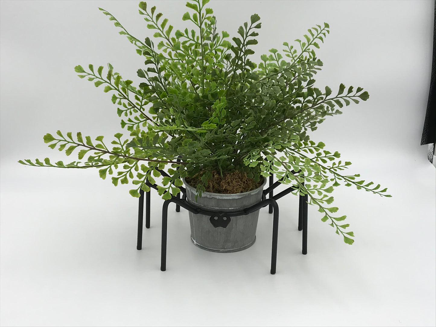 Black Widow Spider Flower Pot Planter or Candy Dish - Large & Small sizes - Fall Party Spooky Ornament Decor - Amish made