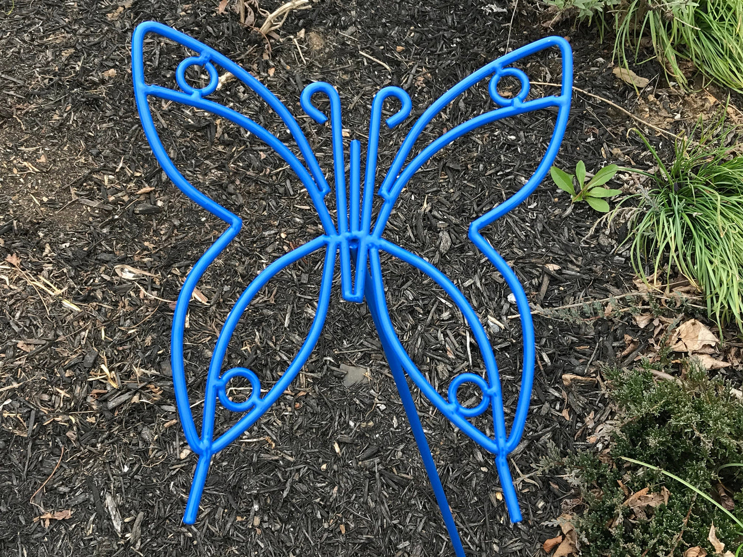 Butterfly Lawn Ornament - Powder Coated in Yellow, Blue, Purple, Red, Orange - Amish Made