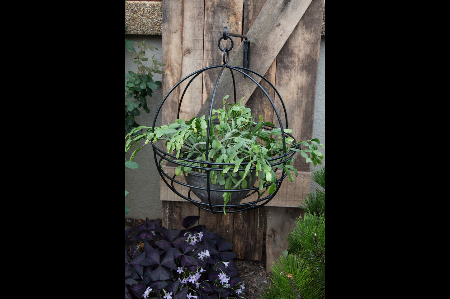 Hanging Wire Basket Plant Hanger - 18" - wrought iron - amish made