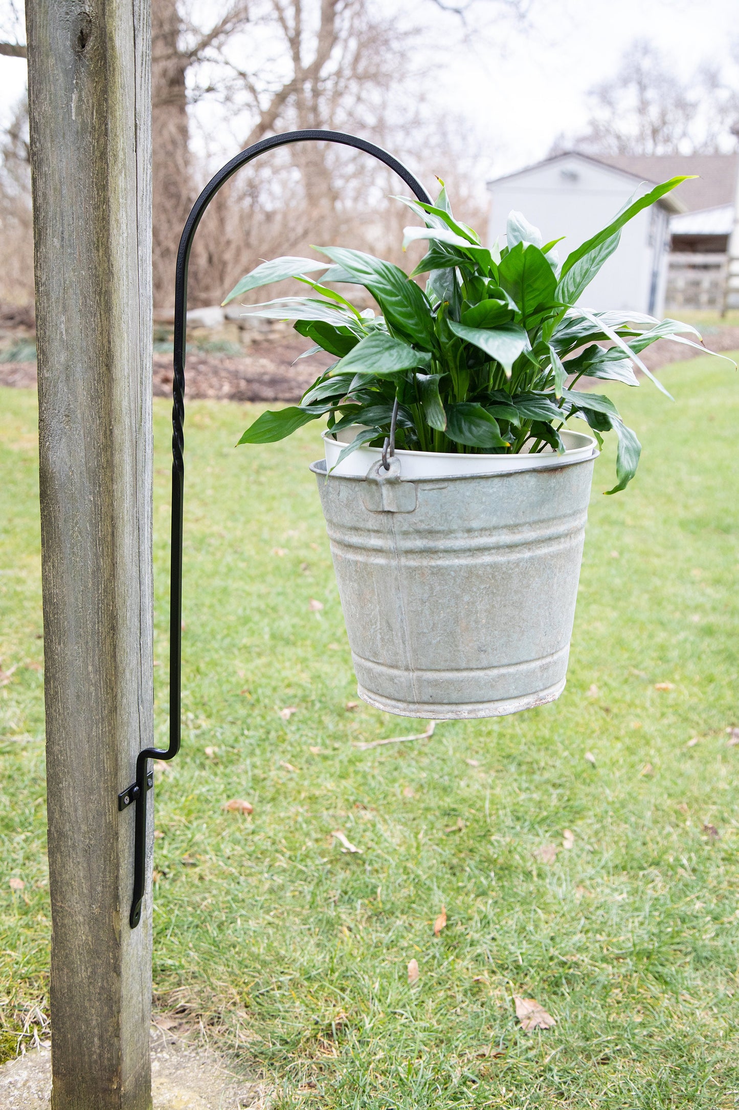 Wrought Iron Deck Hook- Plant and Lantern Hanger