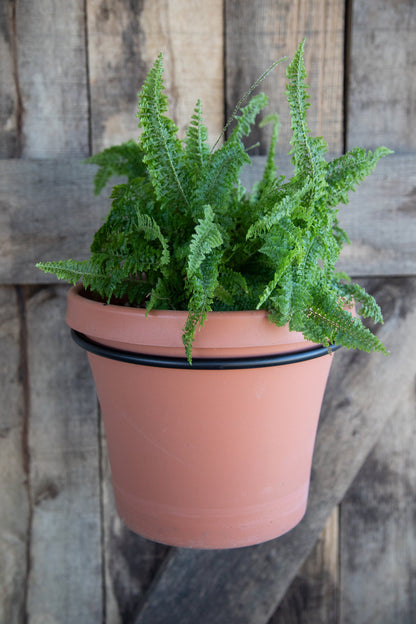 Wrought Iron Deck Ring Plant Holder- Amish Made