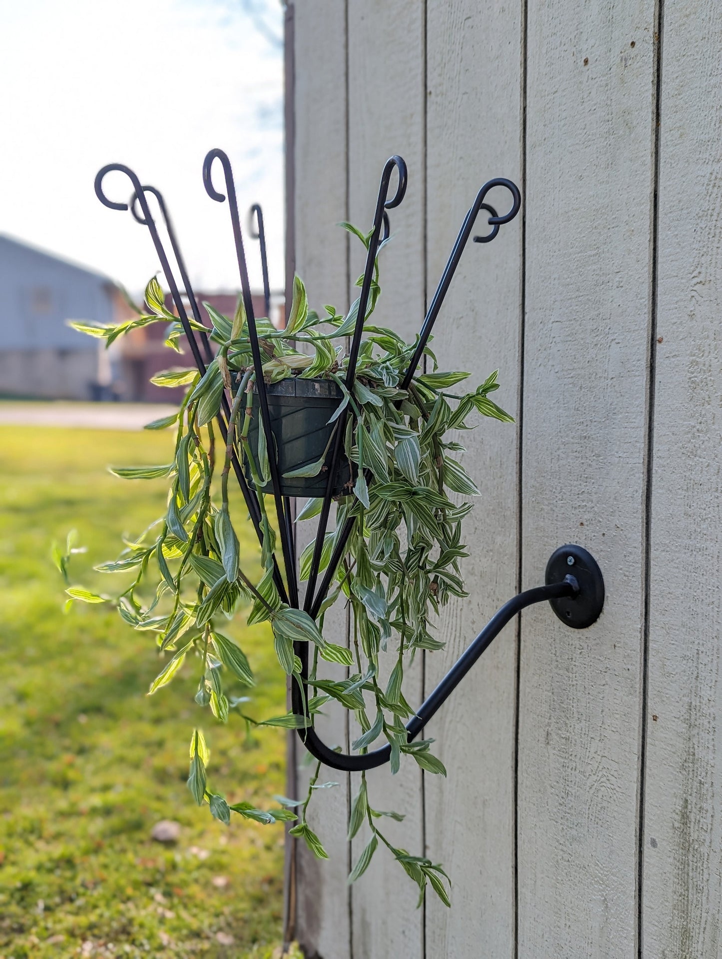 Wall Mount Plant Holder- Wrought Iron- Amish made in the USA