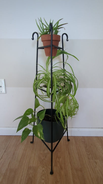 Three-Tier Wrought Iron Black Plant Stand – Plant Holder for Indoor Plants & Flower Display | Rustic Home Decor | Amish Made in the USA
